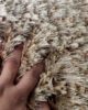 Home Floor Doormat Beige Color - MPV 03 (50x80cm) - الصورة 3