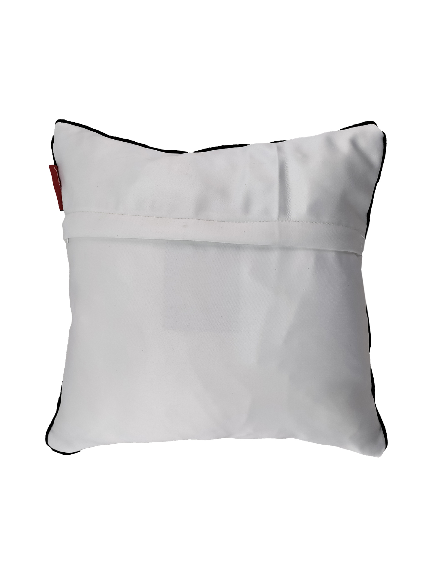 IMG_20220716_162435-1.jpg Multi Color Polyester Cushion with Filler for Sofa, Floor, Couch - CS 185 (45x45cm) - الصورة 4