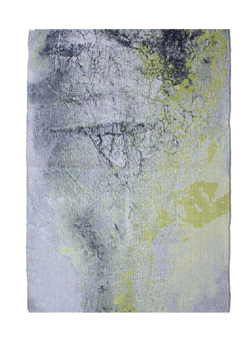 Elegant Multi Color Digital Printed Rug DD 009 (170x240cm) for Sophisticated Room Decor by Ramsha Carpets Elegant multi-color digital printed rug DD 009, 170x240cm, designed to add a sophisticated burst of color to enhance room decor by Ramsha Carpets.