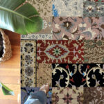 Modern carpet and rugs collection in Dubai UAE, including bedroom rugs, tufted rugs, runner rugs, and traditional rugs for sale.