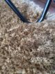Soft Texture of MPS-03 A Beige Shaggy Rug - Ramsha Home