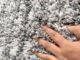 Guest Room Decor Shaggy Rug - MSD 05 (170x240cm) - Image 4
