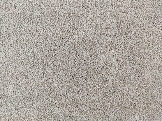 IMG_20230206_144326.jpg Bedroom Decor Shaggy Rug - SNR 12 (200x300cm) - Image 3