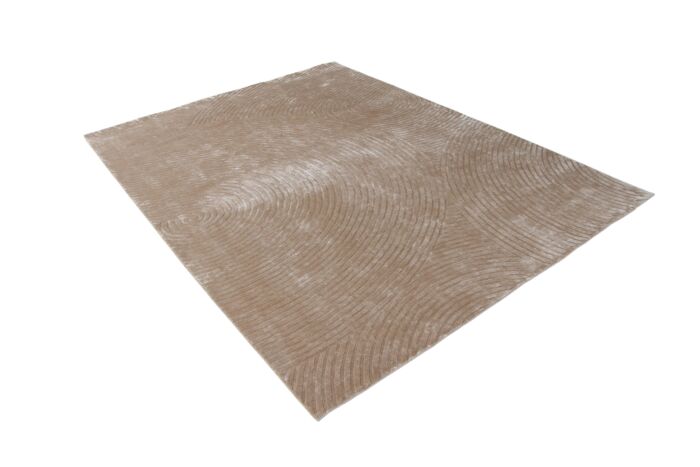 Rectangular Hand Knotted Rug with Grey Hues