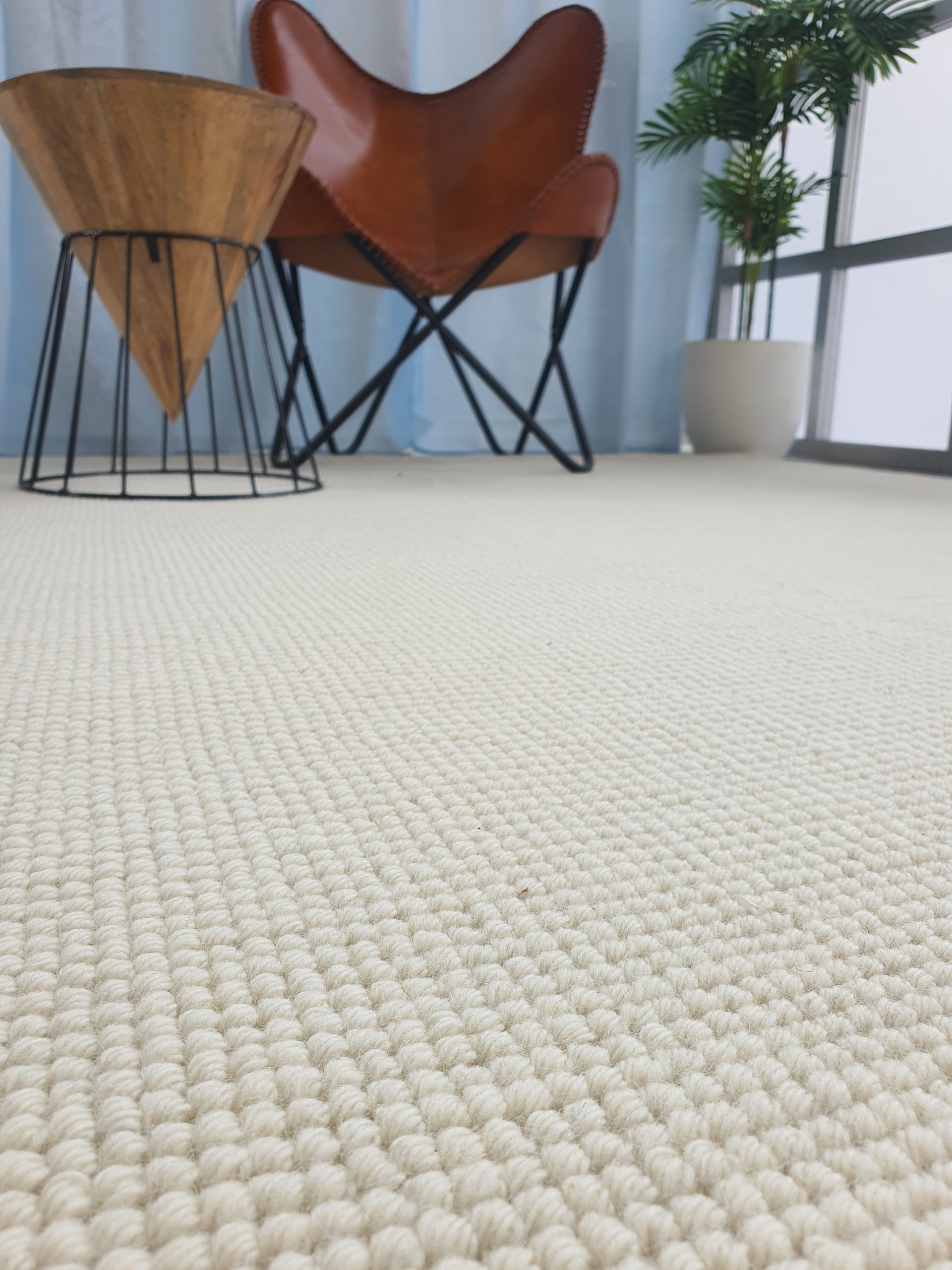 Natural Color Living Room Decor Woven Rug - SRN 032 (300x400cm) by Ramsha Home Natural color living room rug SRN 032, 300x400cm by Ramsha Home