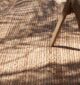 Handcrafted natural jute rug for living rooms, outdoor patios, and modern homes in UAE.