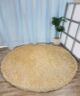 Fluffy Cream Shaggy Rug ahead of Plant in Vase - Ramsha Home