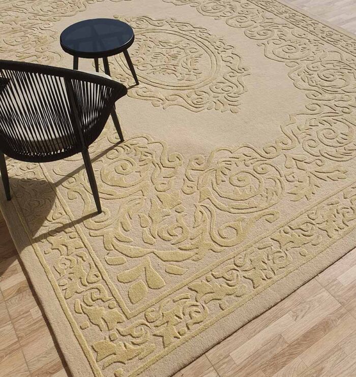 Exquisite Rectangle Home Decor Handmade Rug - HTWV 56 (300x400 cm)