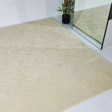 Beautiful Multi Color Wool & Cotton Handmade Rug - HTW 68 (200x300cm)