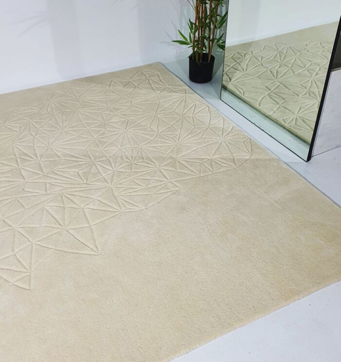 Beautiful Multi Color Wool & Cotton Handmade Rug - HTW 68 (200x300cm)