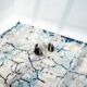 Elegant rug for modern living room décor