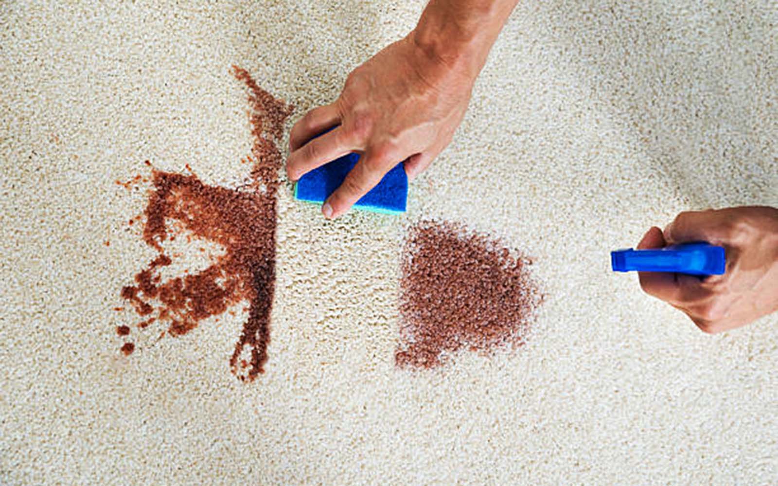 Carpet Cleaning Refresh: Deep Clean Your Rugs A person using a carpet cleaning brush on a rug