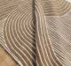 Beautiful Multi Color Indoor Decor Novara Rug  - CMN 35 (200X275cm) - Image 2