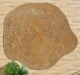 Custom handmade rugs Dubai – design your own carpet | Ramsha Home