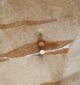 Elegant handmade rug for stylish flooring, rugs Dubai, dining table rugs, and outdoor rugs UAE