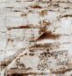 Machine-made rug with modern patterns, soft texture, and long-lasting durability for home décor.