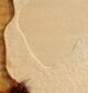 Stylish carpet for living room and bedroom, featuring modern rugs, tufted rugs, and traditional rugs in Dubai UAE.