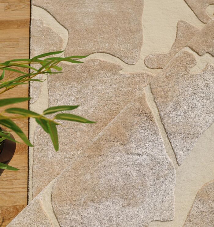 Modern carpet and rugs collection in Dubai, including silk carpets, tufted rugs, and traditional rugs for living room and bedroom décor.