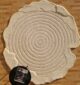 Natural White Color Handmade Area Rug - HTWV-138 (183x200 cm)