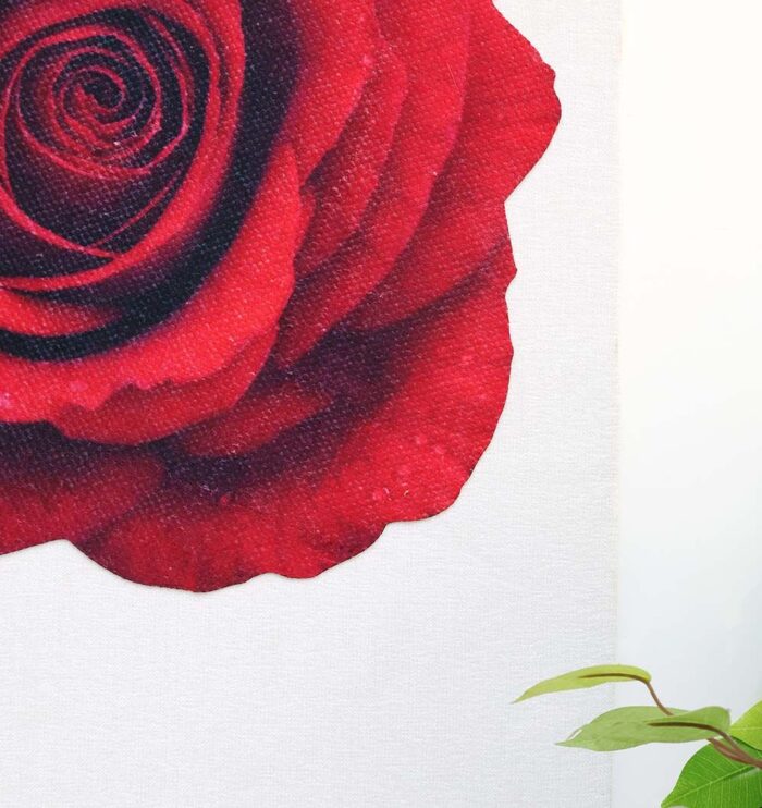 Rose print wall hanging decor for elegant home wall decor, wall art Dubai, and outdoor wall hangings