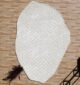 Luxury handmade rugs from Ramsha Home رمشا المنزل for elegant living and bedroom décor