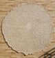 Handmade rugs from Ramsha Home رمشا المنزل designed for stylish living room and bedroom décor