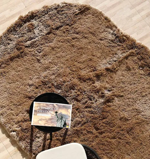 Shaggy Rug for Living Room SG 025-A Brown shaggy rug under black table and chair in living room for cozy interior