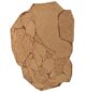 Beige Color Handmade Area Rug - HTW-42 (250X350 cm)