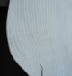 Shape Area White Color Handmade Rug - HTWV 101 (200x300cm) - الصورة 3