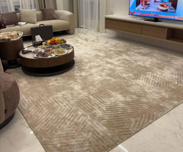 Interior room featuring a stylish rug with modern home décor elements